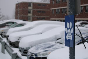 Cars outside of Woodward Hall Coated in Snow - Courtsey of Deklin Fitzgerald
