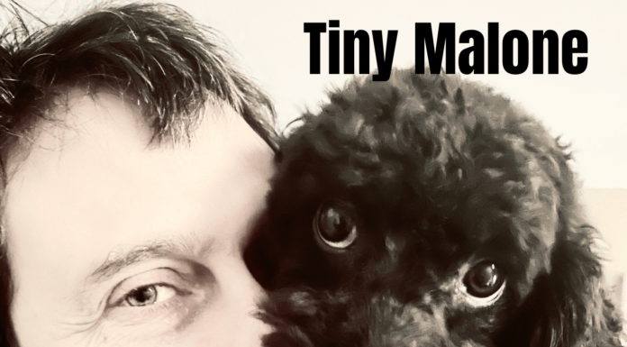 Tiny Malone album cover, by Dan Sonenberg