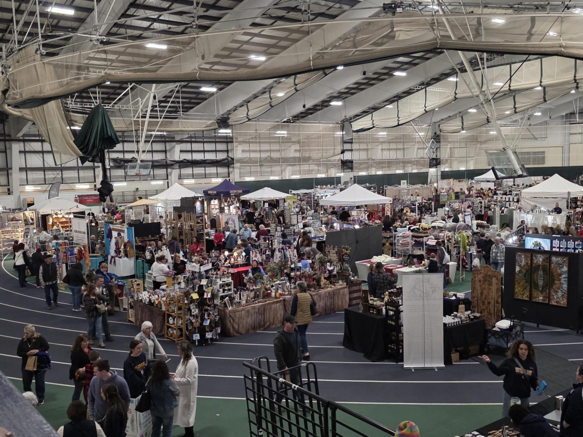 Overview of craft show