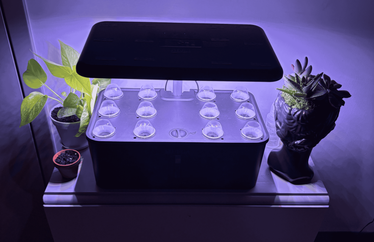 A freshly planted countertop hydroponic system